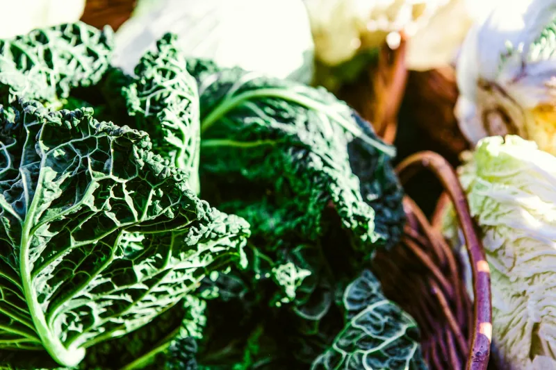 Versteckte Mangelernährung: Wenn Berlins Überfluss zur Unterversorgung wird