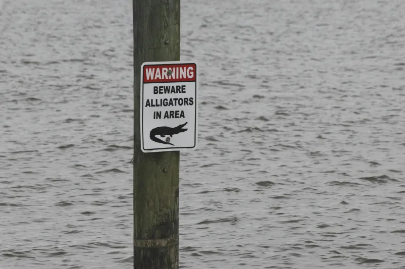 Berlins blaue Gefahr: Warum Schwimmen in der Hauptstadt zur Gesundheitsfalle werden kann